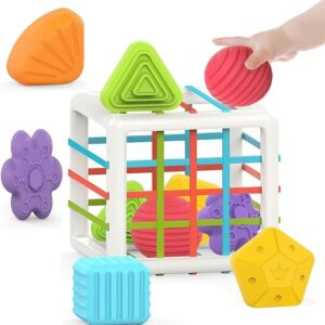 6 Pc Multi Sensory Shape